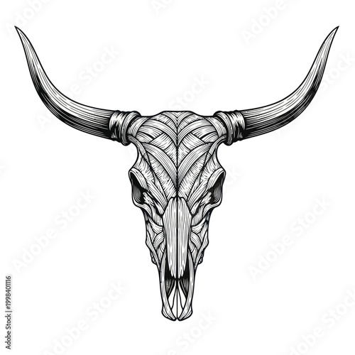 Foto Worn Bull Skull with Long Horns, Detailed Line Art, Western Decor