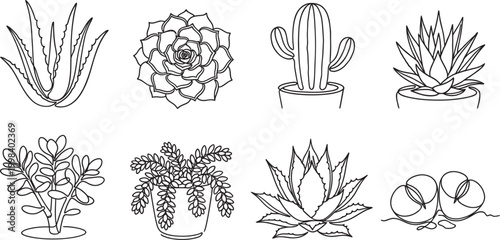 Collection of eight unique line art succulent and cactus illustrations isolated on a white background