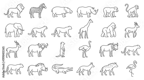 Diverse collection of safari wild animals line art silhouette icons set for nature wildlife projects