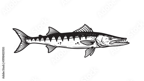 Fish illustration with detailed line art, patterned scales, and bold contour for premium seafood branding and vector design