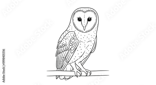 Barn Owl Line Drawing Illustration Perched on Branch