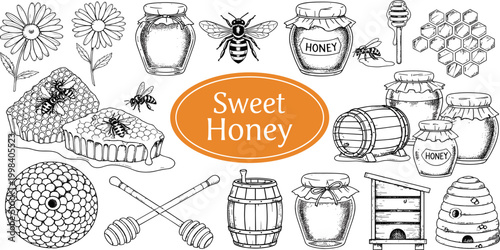 Hand drawn honey elements set with bee jars honeycomb hive flowers and tools vintage beekeeping illustration collection
