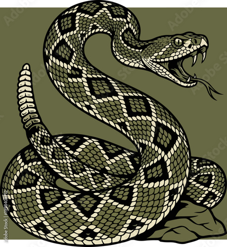 Stylized Illustration of an Aggressive Rattlesnake in a Coiled Defensive Position.