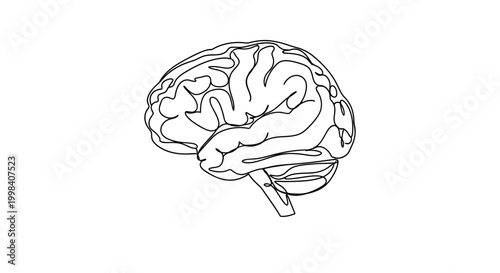 Minimalist continuous line drawing of a human brain.