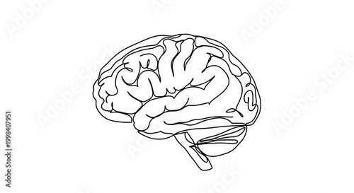 Continuous single line drawing of human brain organ.