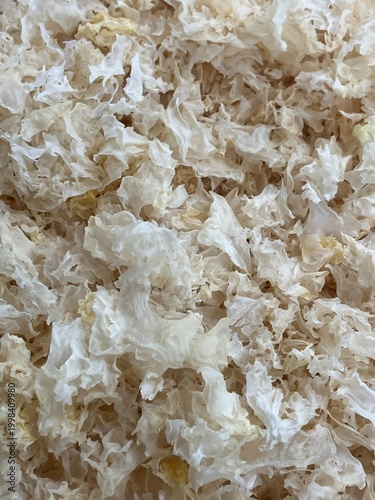 Delicate Dried Snow Fungus Texture Close-Up