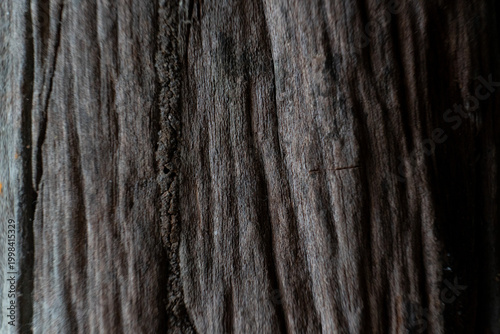 Dark Weathered Wood Grain Texture Background