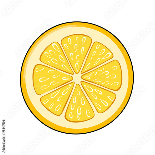 Juicy yellow lemon slice with segmented pulp and vibrant rind illustration