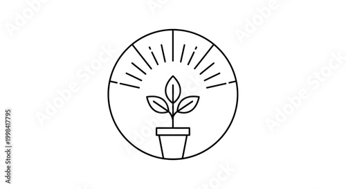 Growth Concept: Seedling in Pot Under Rays of Light - Minimalist Line Art Icon