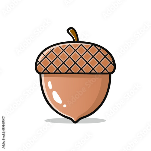 Cute cartoon acorn with textured cap and smooth body on white