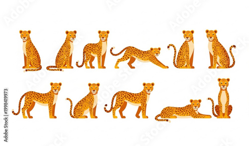 Cartoon leopard vector set with spotted wild cats in flat minimal style isolated on white background