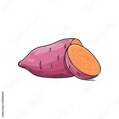 Whole and sliced sweet potato with vibrant orange flesh and purple skin illustration