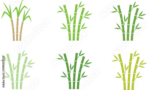 Vector illustration of bamboo stalks with leaves in different colors and styles in decorative design