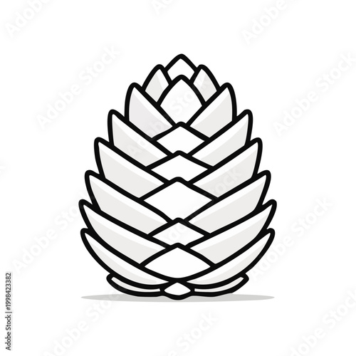 Stylized hand drawn illustration of a white pine cone with layered scales and a dark outline suggesting natural forms