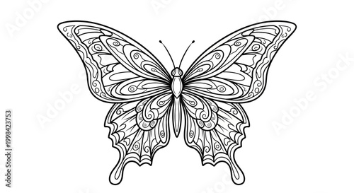 Intricate Line Art Butterfly Illustration - Black and White Drawing