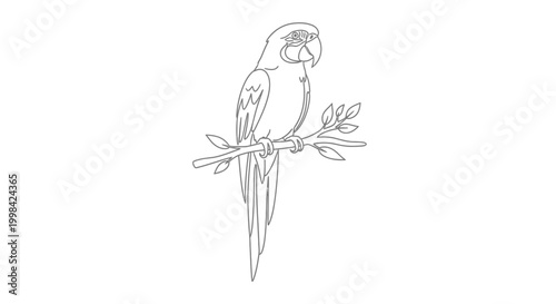 Line Art Parrot Perched on Branch, Minimalist Bird Illustration