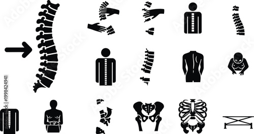 Anatomical illustrations human skeleton and body parts in black and white
