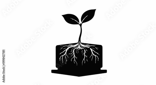 Young plant with visible roots growing out of a square pot, symbolizing growth and new beginnings.