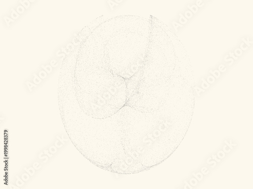 Generative Attractor Point Cloud Abstract Science Design