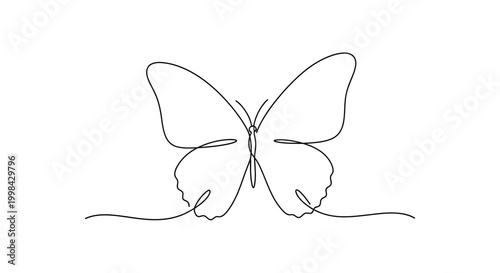 Minimalist Butterfly Line Art Drawing