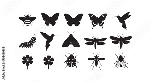 Set of silhouettes including various insect species butterflies and birds for creative nature design project collection.