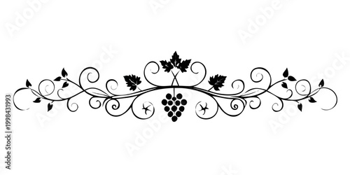 Elegant Grape Vine Divider Illustration - Vintage Ornament Border Decoration