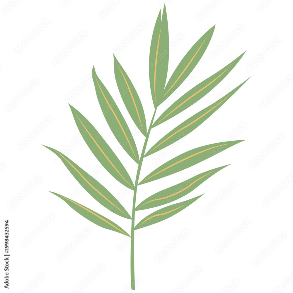 Fototapeta premium Tropical palm frond leaf branch, vector flat illustration of botanical foliage for jungle and exotic plant design