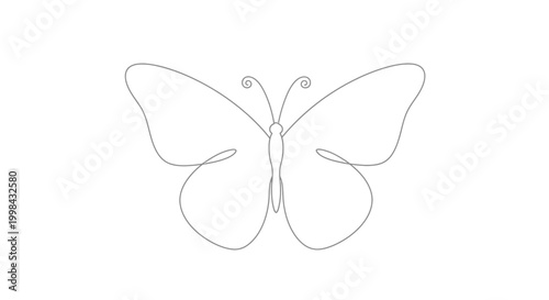 Fotografie Minimalist Butterfly Outline Drawing, Single Line Art, Insect Silhouette