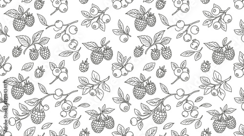 Seamless pattern with hand drawn berries and leaves black and white line art illustration of raspberries and blueberries