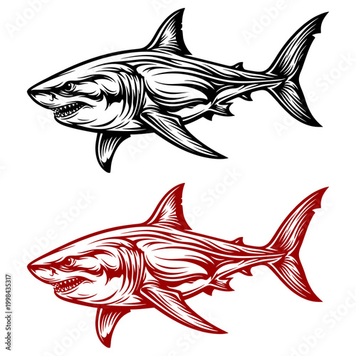 Powerful and aggressive shark vector illustrations in black and red colors ideal for sports mascots apparel design and logo projects