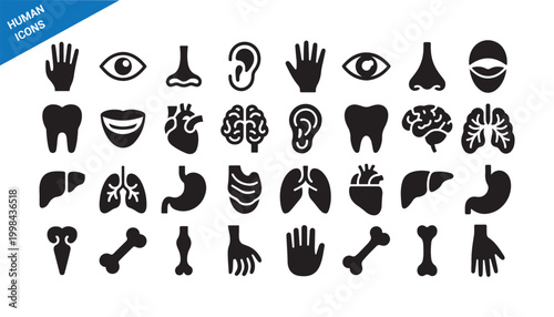 Medical symbol icons. Human anatomy solid style set