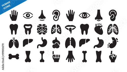 Body parts icons set. Healthcare anatomy vector illustration