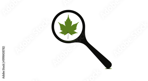 Magnifying glass with green maple leaf