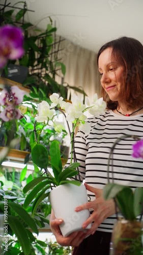 Elegant orchid plant care in modern luxury greenhouse interior, highlight delicate blooming flowers, refined botanical arrangement and sophisticated plant design in a serene and aesthetic environment