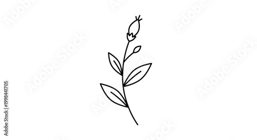 Minimalist single line drawing of a delicate plant sprout with leaves and bud