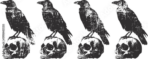 grunge crow perched on human skull silhouette dark gothic horror symbol with distressed texture halloween spooky mystical theme