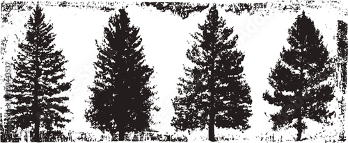 four detailed fir tree silhouettes in black on a white textured background