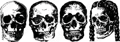 Four detailed human skull illustrations, one featuring braided hair, monochrome anatomical study