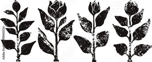 black vintage botanical branches silhouettes set, grunge texture floral plant leaves