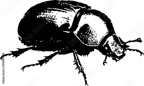 Beetle insect black silhouette isolated on white, detailed hard shell and antenna vector illustration