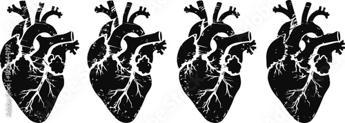 stylized human heart illustrations showing detailed anatomy with veins and arteries in black silhouettes