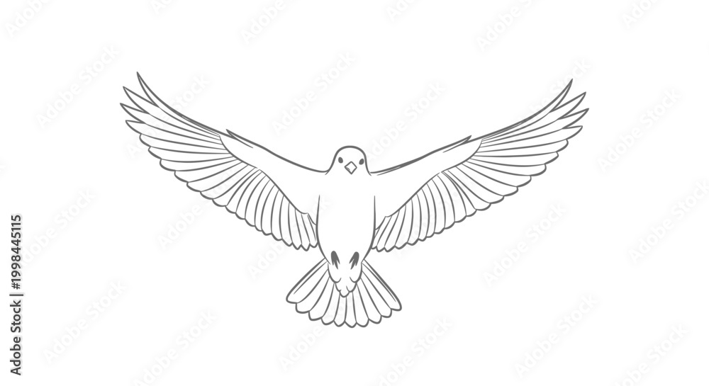 Fototapeta premium Outline drawing of a white dove with wings spread, flying gracefully against a white background.
