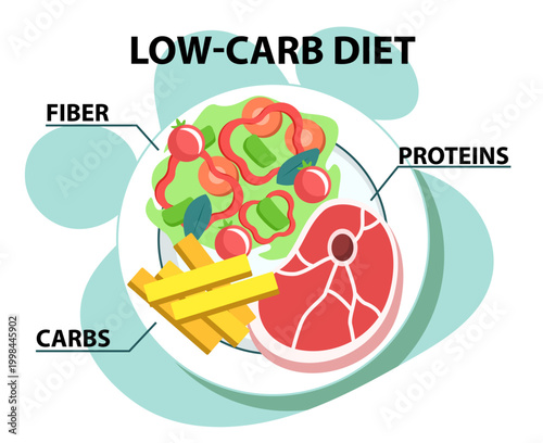 Low carb diet. Proteins from meet, carbs from potato and fiber from vegetables. Salad with tomato, pepper and cucumbers. Proper diet and healthy eating. Flat vector illustration
