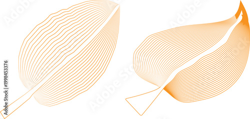 vector illustration of an abstract background