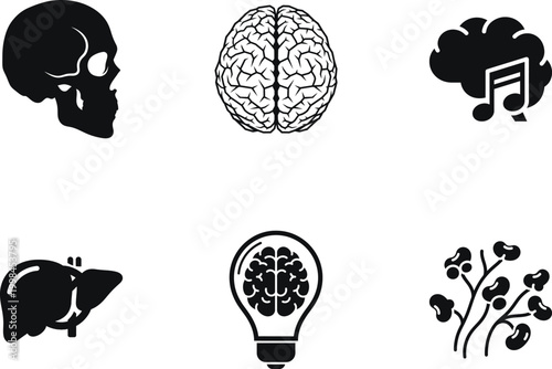 Set of icons related to brain and human anatomy, including skull, brain, musical brain, liver, light bulb with brain, and kidney icons
