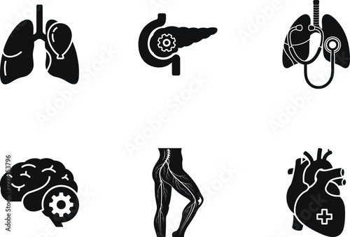 Set of human organs icons, including lungs, pancreas, brain, nervous system and heart, medical and healthcare concept, vector illustration