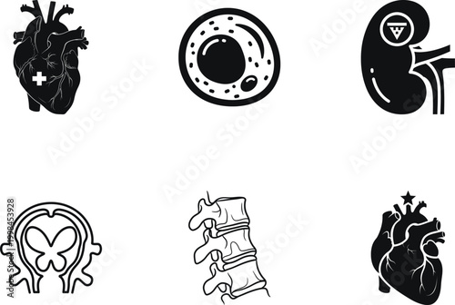Set of human anatomy icons including heart, cell, kidney, spinal cord, and vertebrae