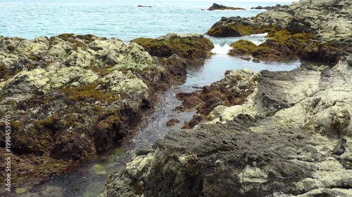 三浦半島地磯の潮溜まりに流れ込む海水