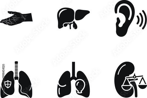 Set of medical and human organ icons, including hand, liver, ear, lungs with shield, lungs with balloon, and kidney with scales