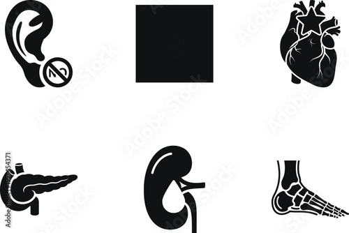 Set of human body parts icons, including ear, heart, pancreas, kidney, and foot, representing medical, anatomical, and healthrelated concepts